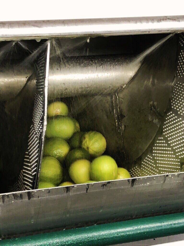 Bergamot processing at Capua