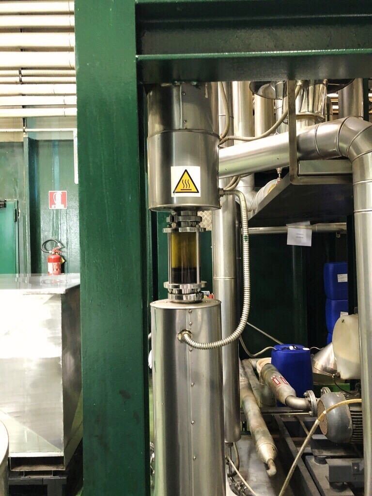 Bergamot processing at Capua